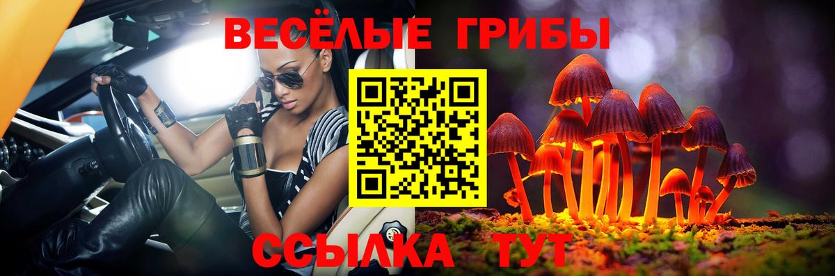 Балашов  Галлюциногенные грибы Cubensis  Псилоцибиновые грибы ЛСД  Вход с VPN 